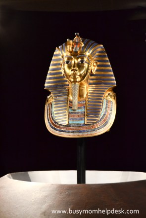 DSC_0374 edit logo.jpg